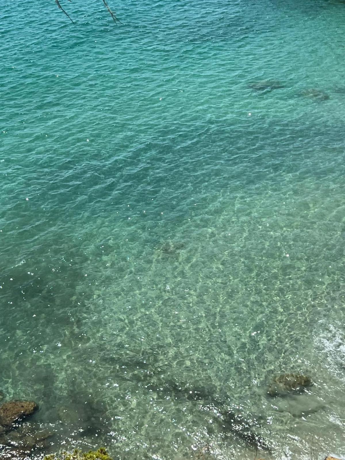 Santiago Salou