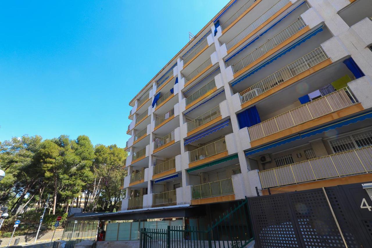 Argenta Appartement *