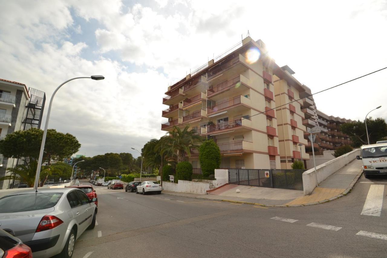 Wvp - Gavina 2