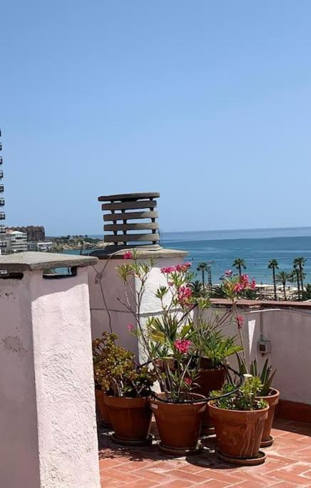 Atico Terraza 250 Metros - *