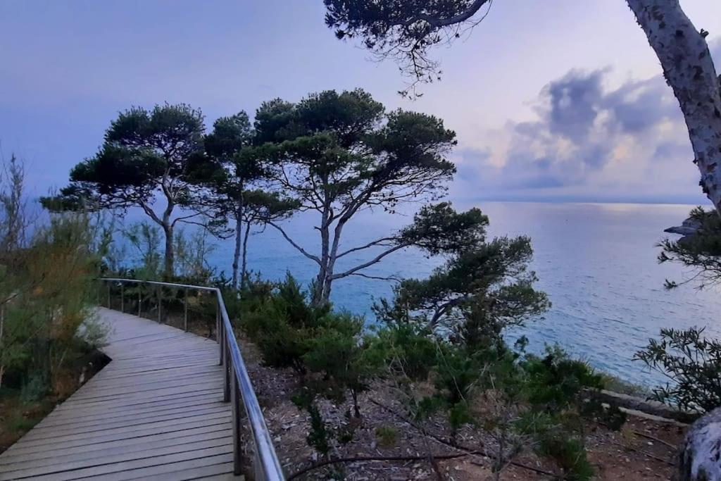 Apartment Edelweiss Cala Crancs *