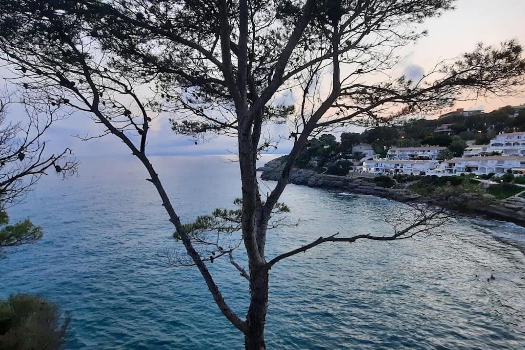 Edelweiss Cala Crancs Apartment