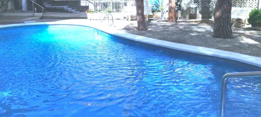 Apartment Paradis & Center