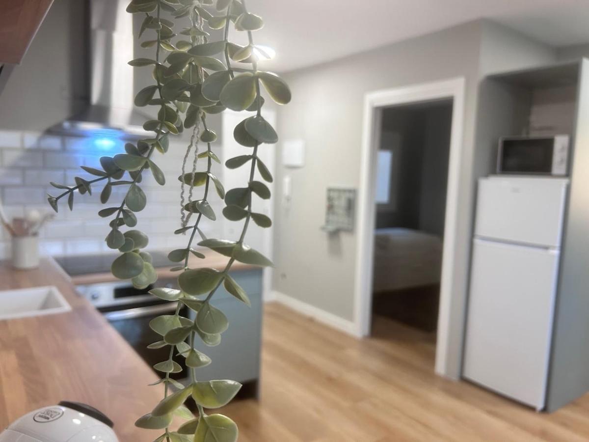 Appartement Sunandbed Atlas