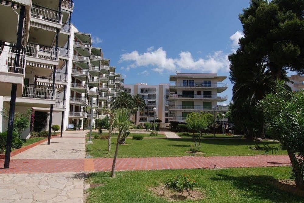 Estudios Zeus Aries * Salou