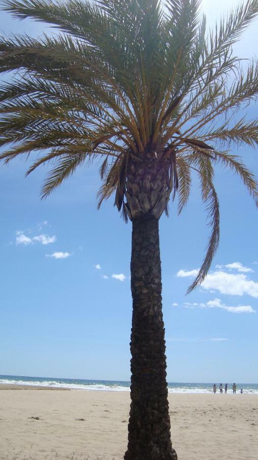 Apartamento Appt Terrasse, Piscine, Locamar Appt Cristina *